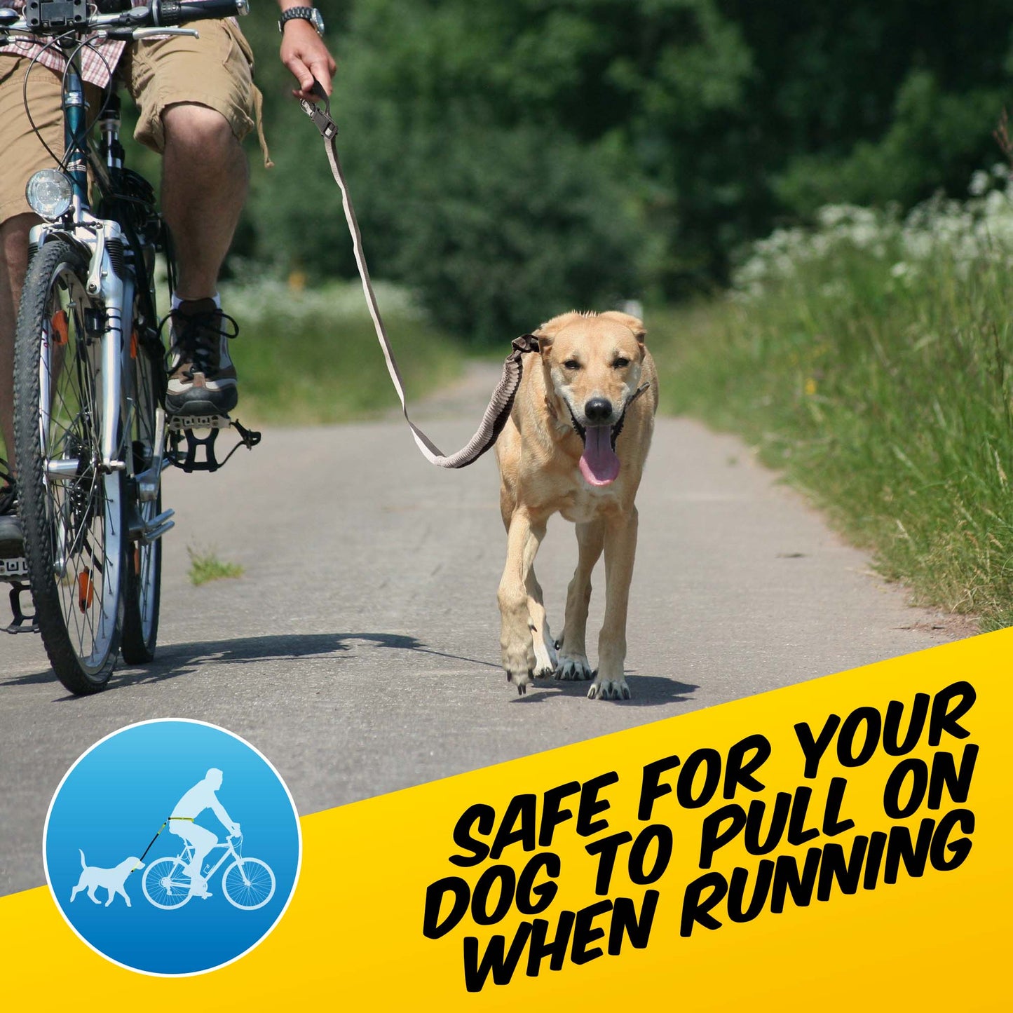 Super Stretch Dog Lead - Pawpride - DSL