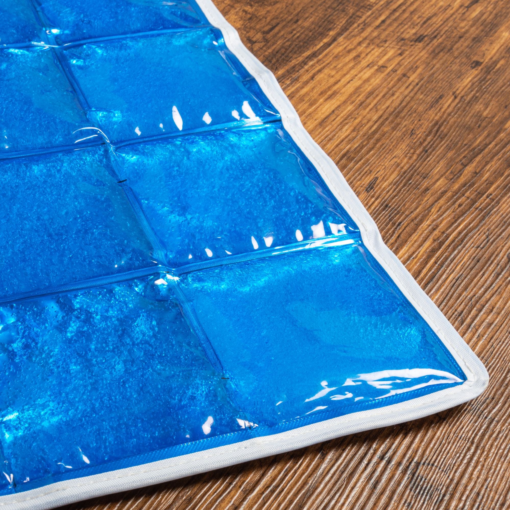 Pet Cooling Mat - PawPride - DSL