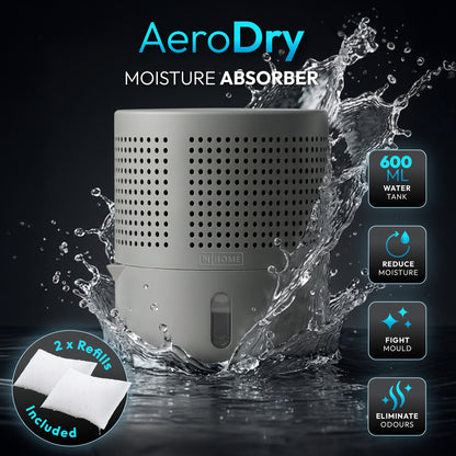iN Dehumidifier with 2×300g Refillable Absorb Bags | UK Safety Compliant | Zero Energy Consumption Moisture Absorber - DSL