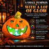 Halloween Decoration LED Pumpkin Head - DSL