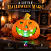 Halloween Decoration LED Pumpkin Head - DSL
