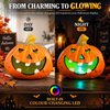 Halloween Decoration LED Pumpkin Head - DSL