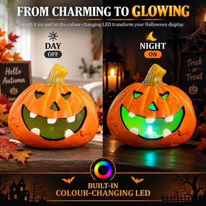 Halloween Decoration LED Pumpkin Head - DSL