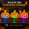 Halloween Decoration LED Pumpkin Head - DSL