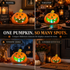 Halloween Decoration LED Pumpkin Head - DSL