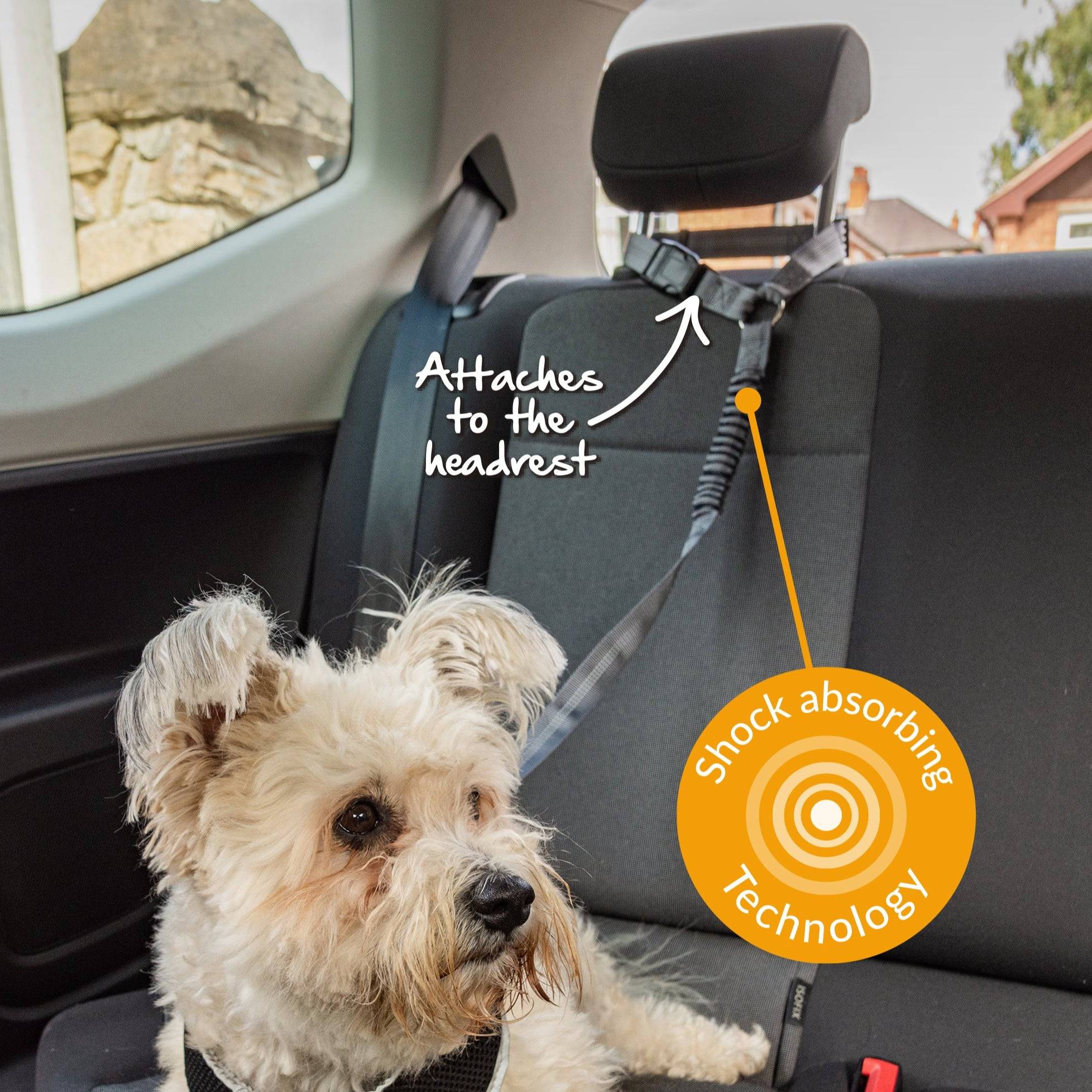 Multi-Purpose Pet Seat Belt - Pawpride - DSL
