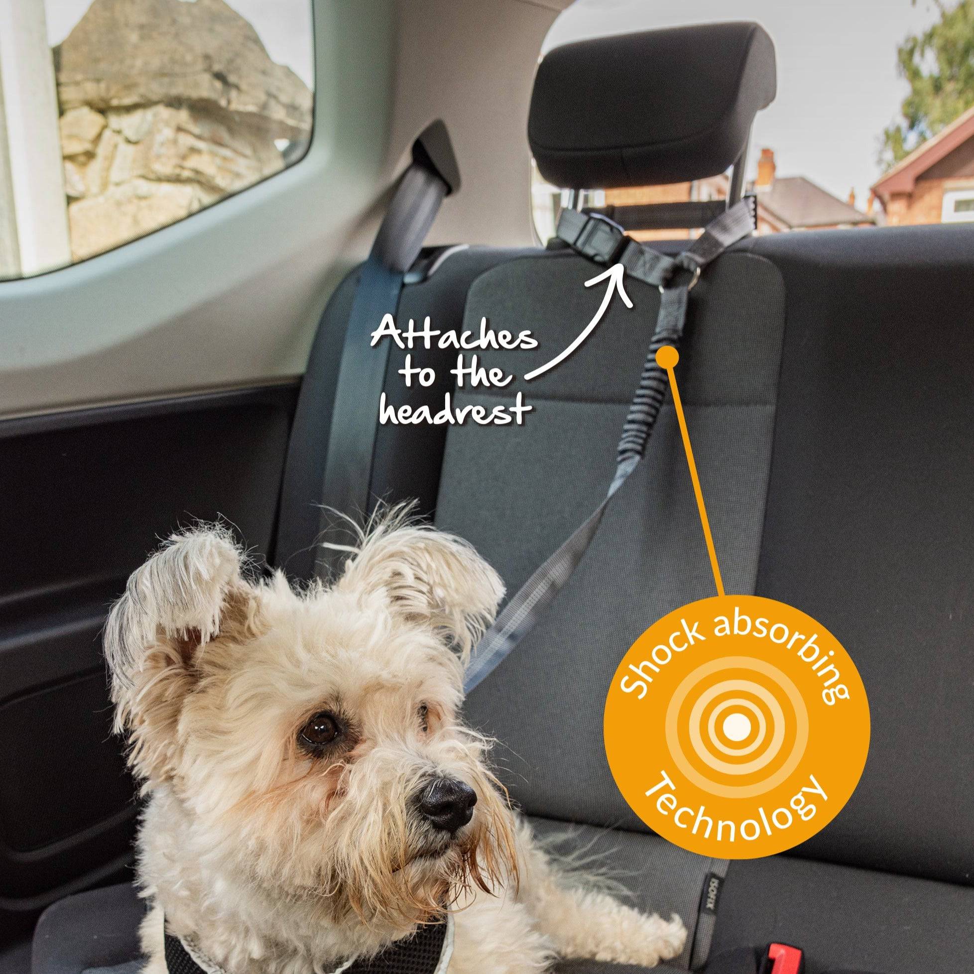 Multi-Purpose Pet Seat Belt - Pawpride - DSL