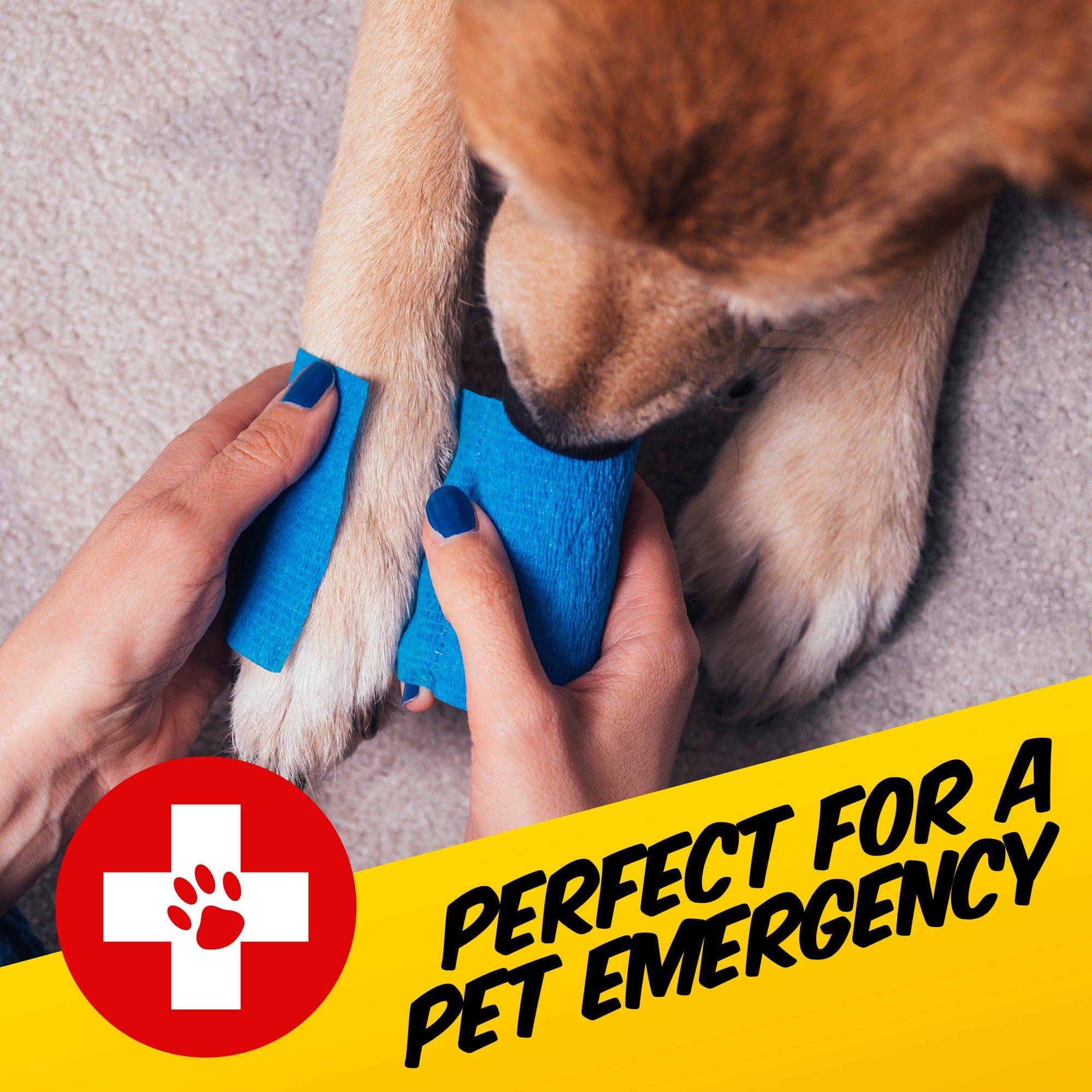 Dog First Aid Kit - PawPride - DSL