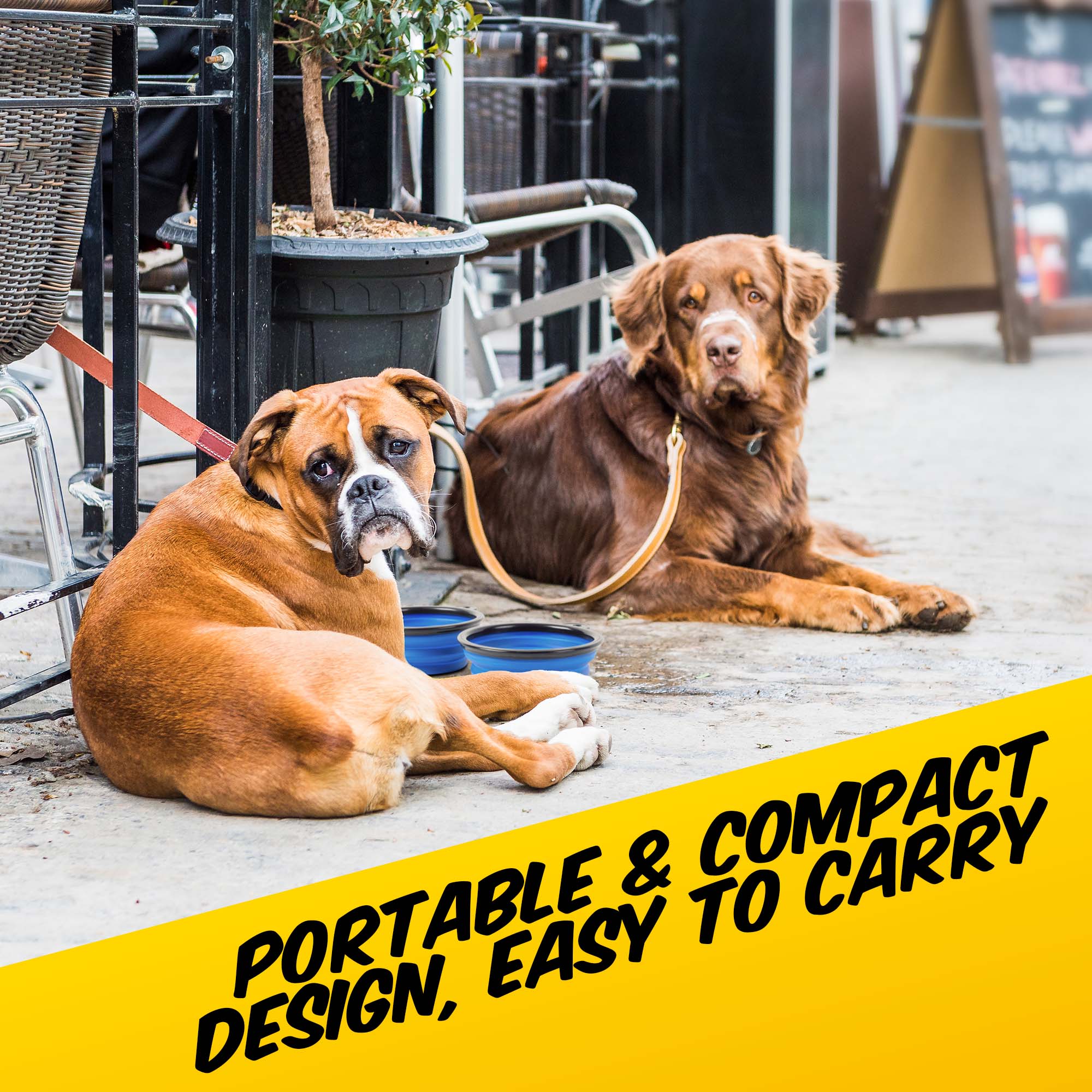 2-in-1 Pet Water Bottle and Food Container - PawPride - DSL