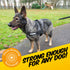 Hi-Vis Dog Lead - Pawpride - DSL