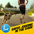 Hi-Vis Dog Lead - Pawpride - DSL