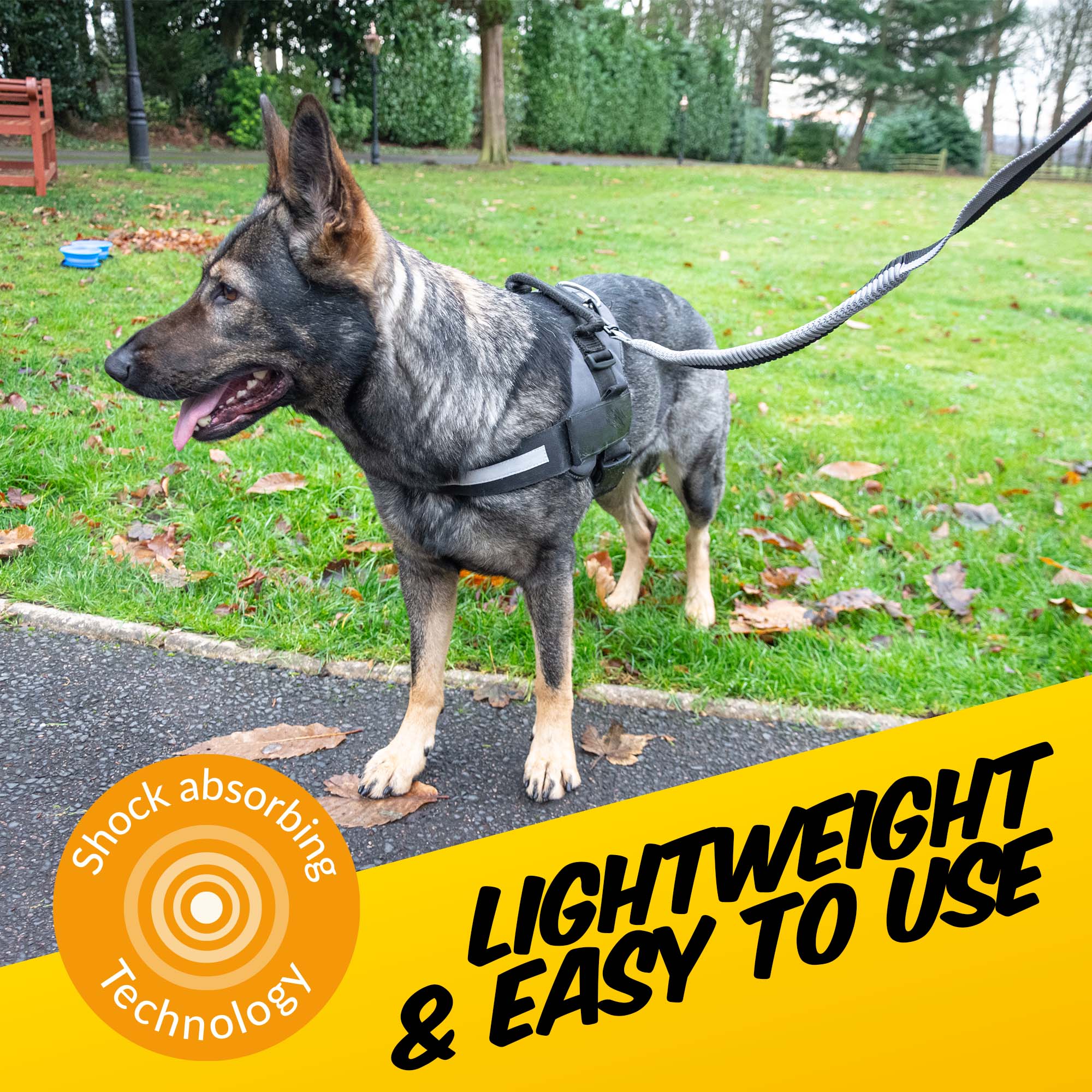 Super Stretch Dog Lead - Pawpride - DSL