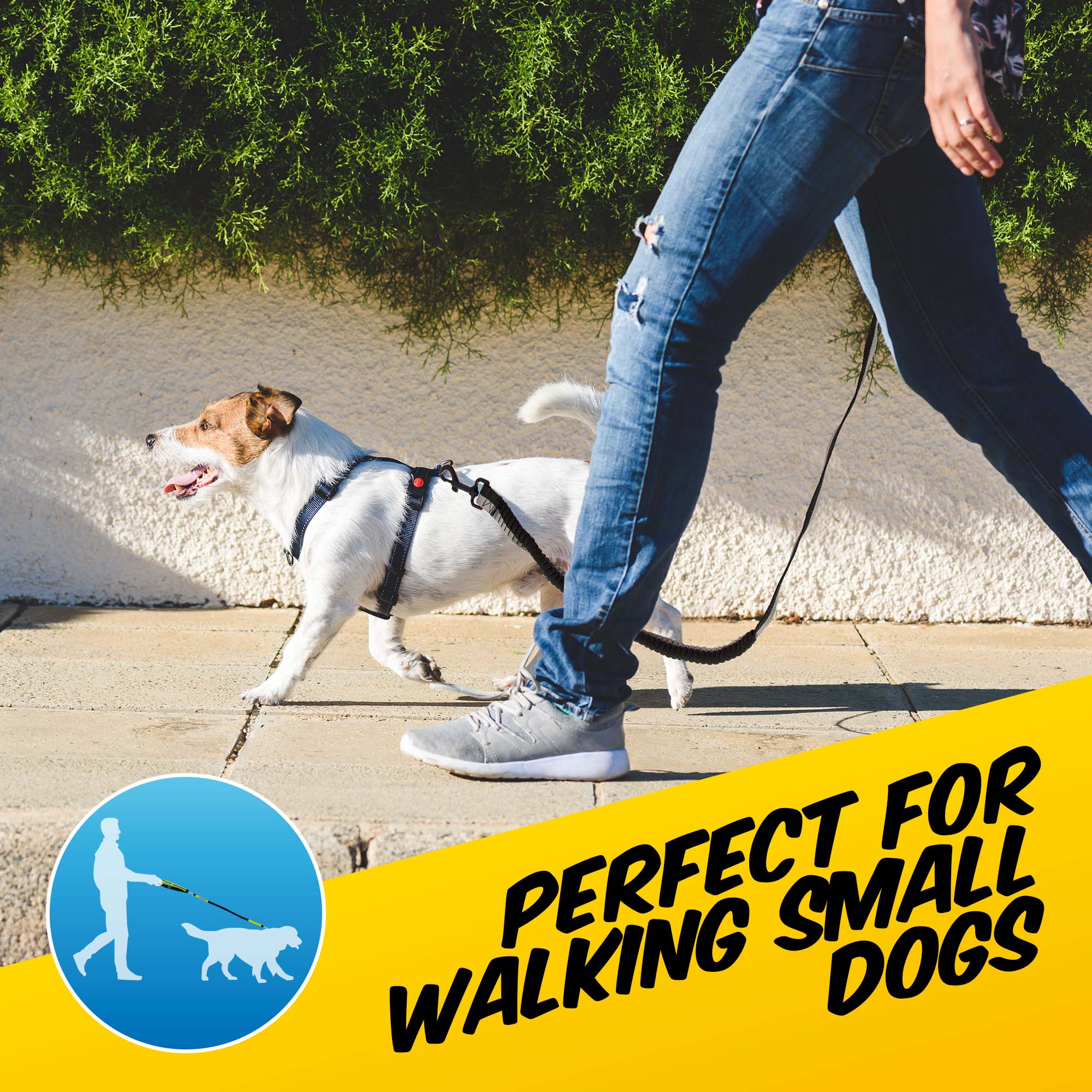 Super Stretch Dog Lead - Pawpride - DSL