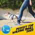 Super Stretch Dog Lead - Pawpride - DSL