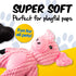 Pig & Bone Dog Toy - Pawpride - DSL