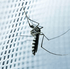 Fly & Bug Door Curtain - Spear & Jackson - DSL