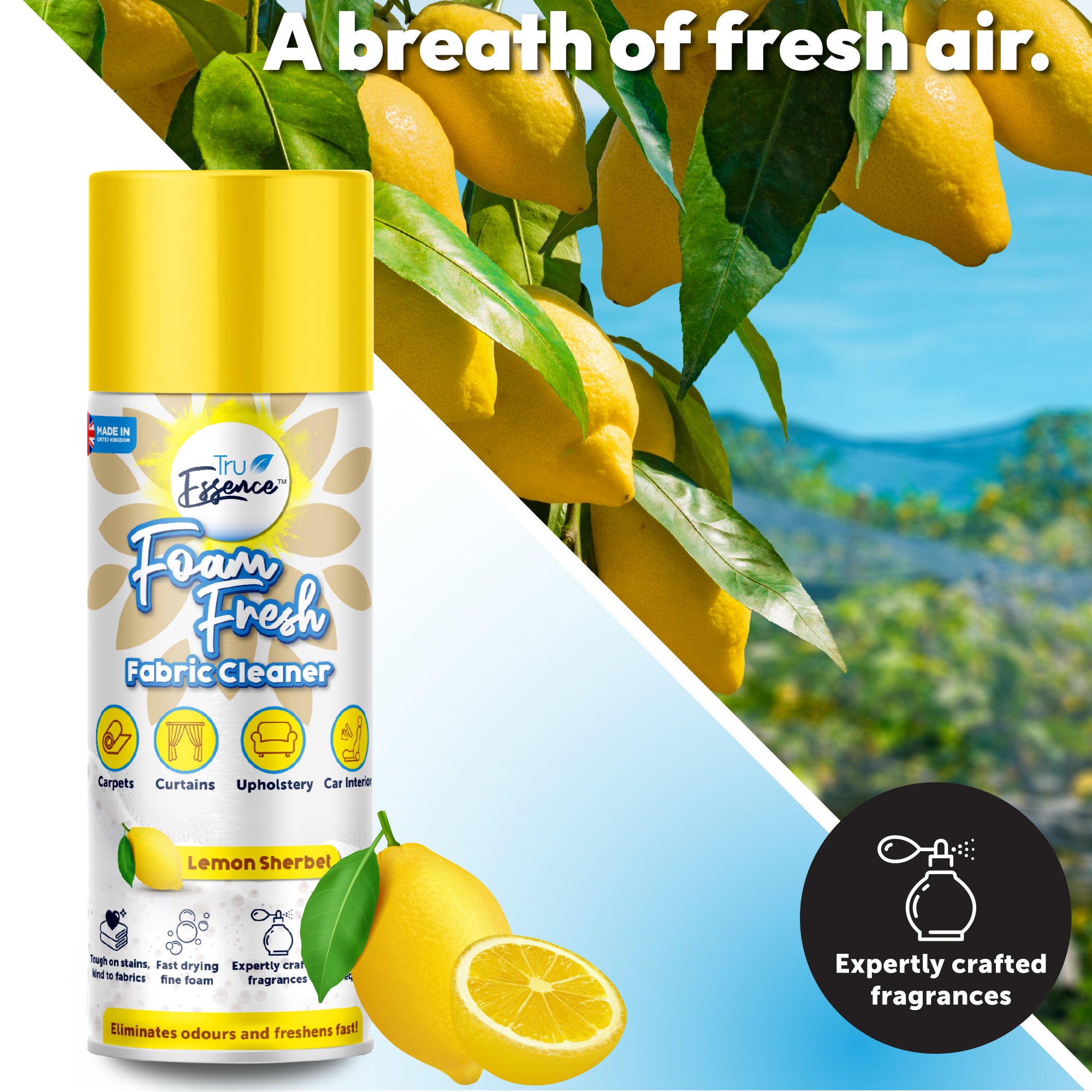 Carpet Cleaner (Lemon Sherbet) - TruEssence - DSL