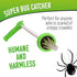 Spider and Bug Catcher - DSL