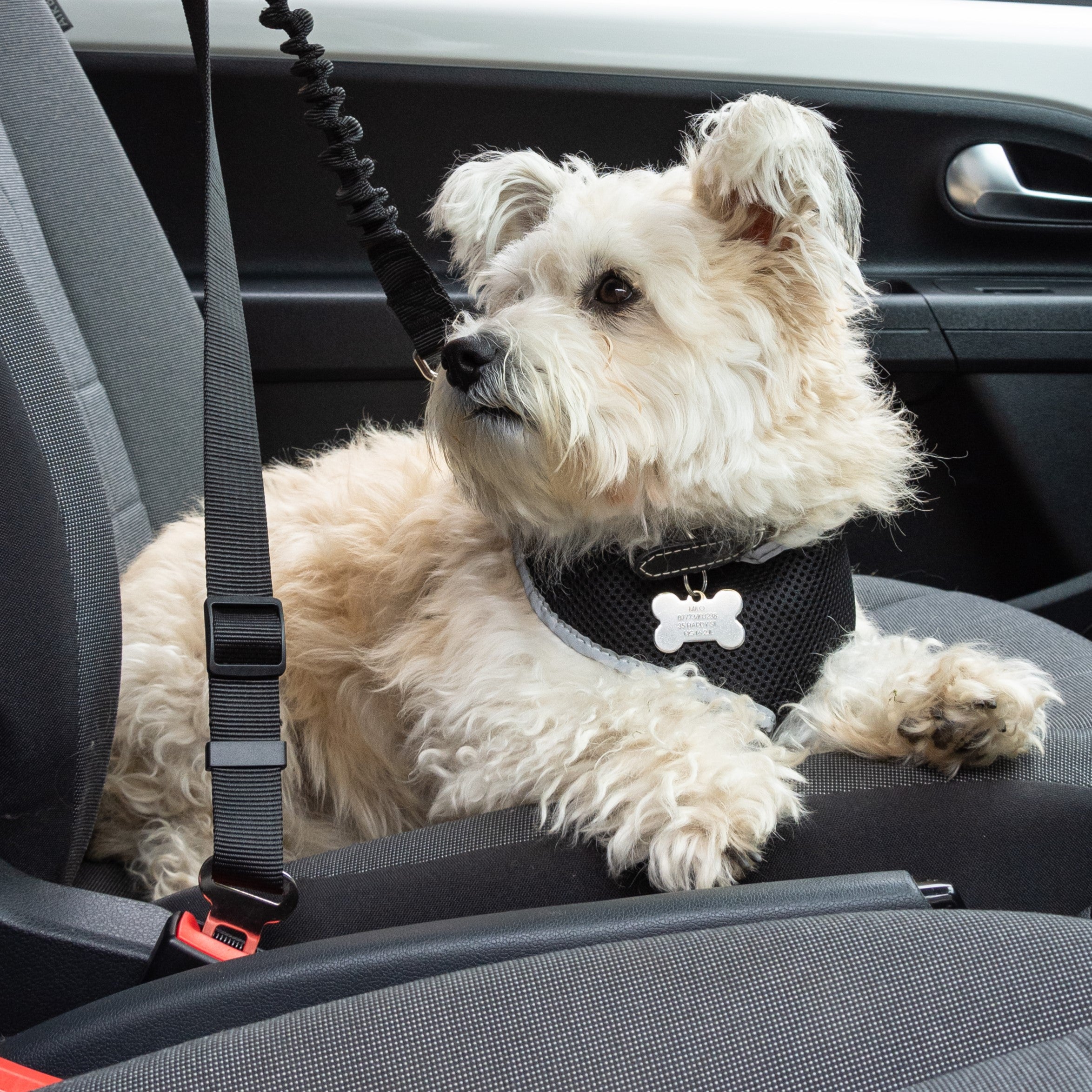 Pet Car Seat Belt Safety Restraint Leash - DSL
