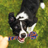 Rope Dog Toy - Pawpride - DSL